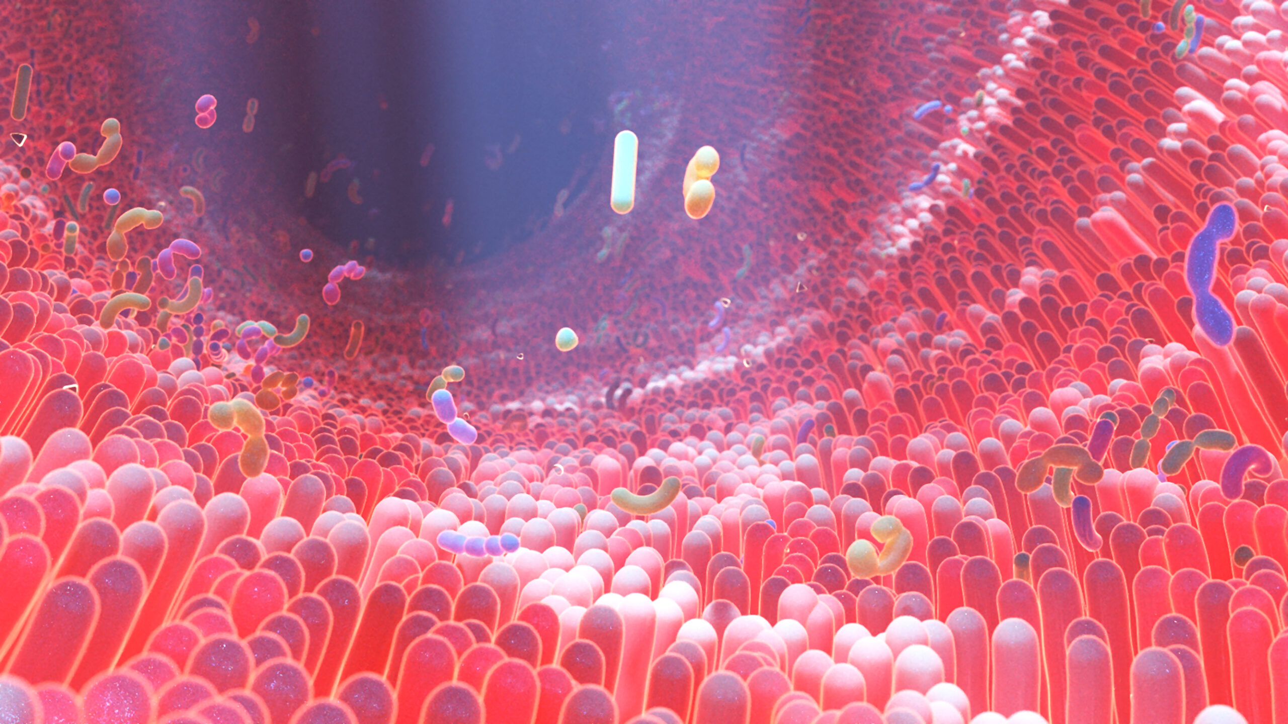 3d Rendering of Human Gut Microbiome