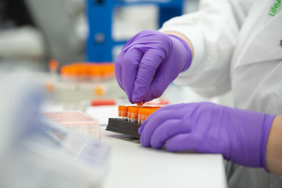 LifeArc scientist selecting samples in orange-capped vials from a grey, multi-well plate for testing.