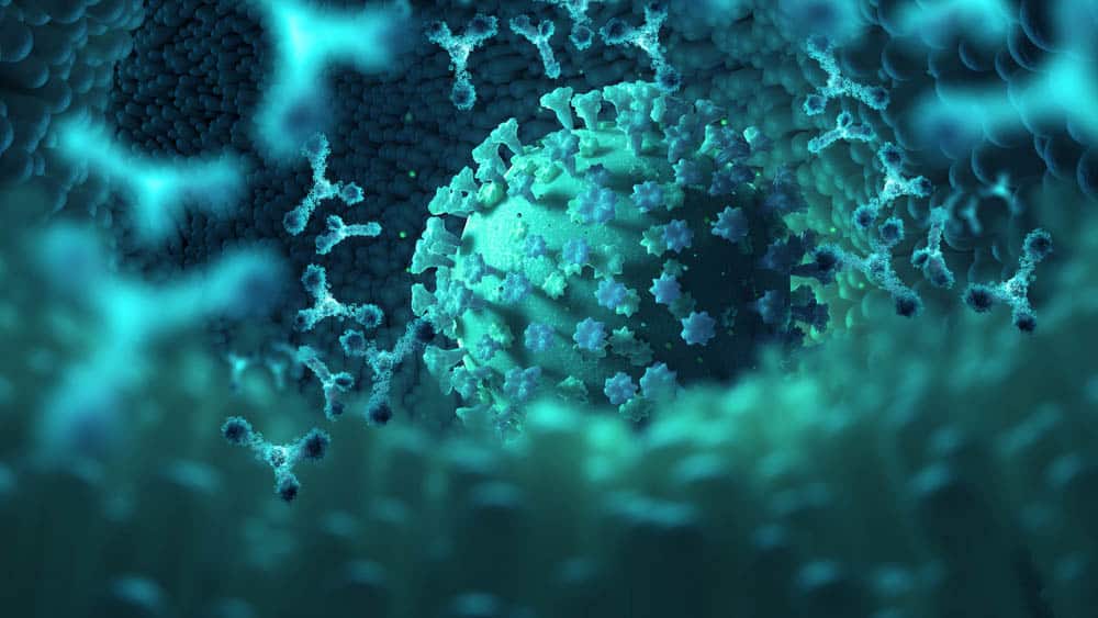 Graphic showing a virus and antibodies in blood.