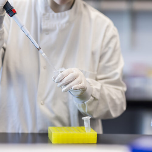 A scientist is wearing PPE in a lab, holding a pipette and carrying out an experiment with a vial in front of him
