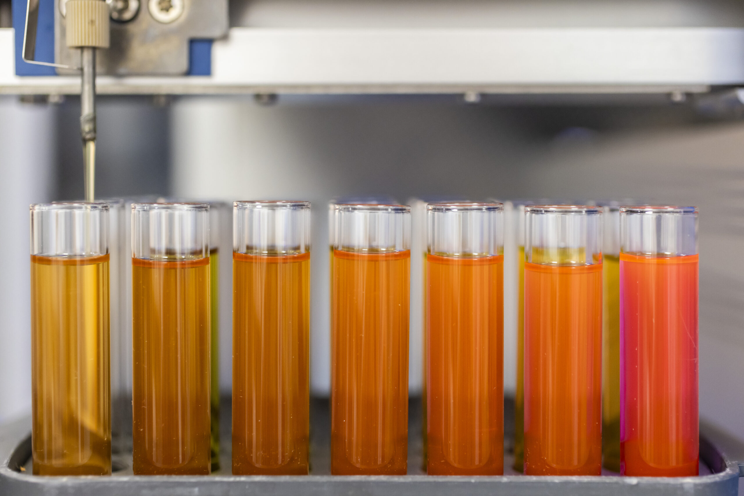 A rack of test tubes containing bright orange coloured liquid.