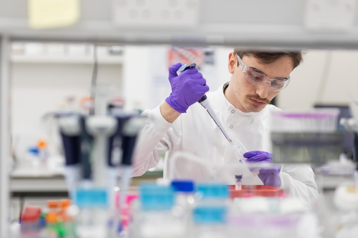 A male LifeArc scientists wearing gloves, a lab coat and safety glasses, pipettes liquid into a clear beaker.