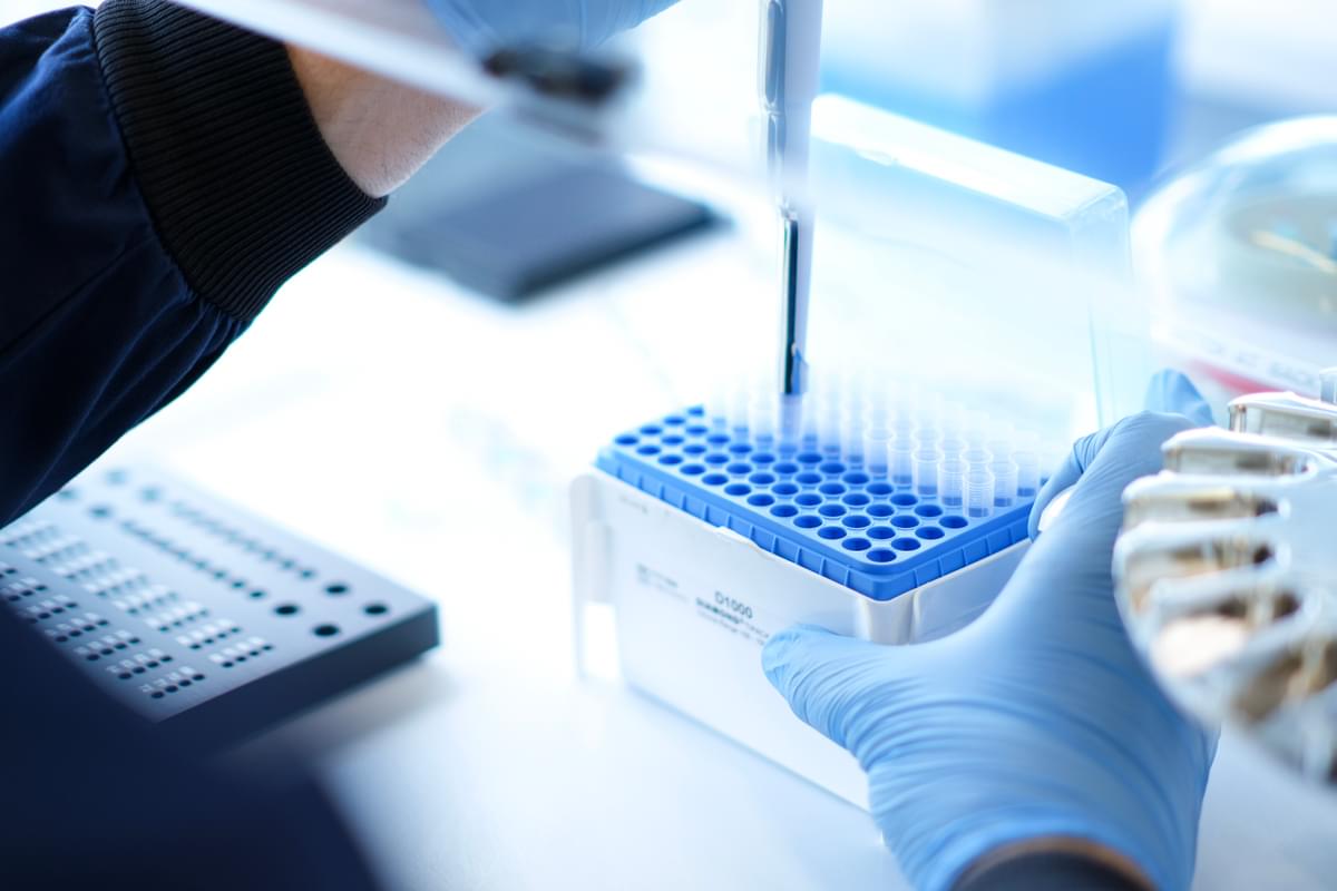 A gloved hand holds a tray of vials on a lab bench as another hand uses a pipette to draw liquid from one of the vials.