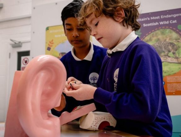 Children examining ear model at Cambridge Science Centre