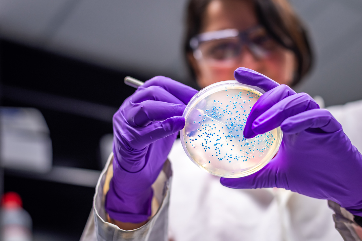 Female scientist in microbiology laboratory working with E coli culture