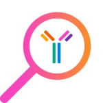 icon of an antibody in a magnifying glass
