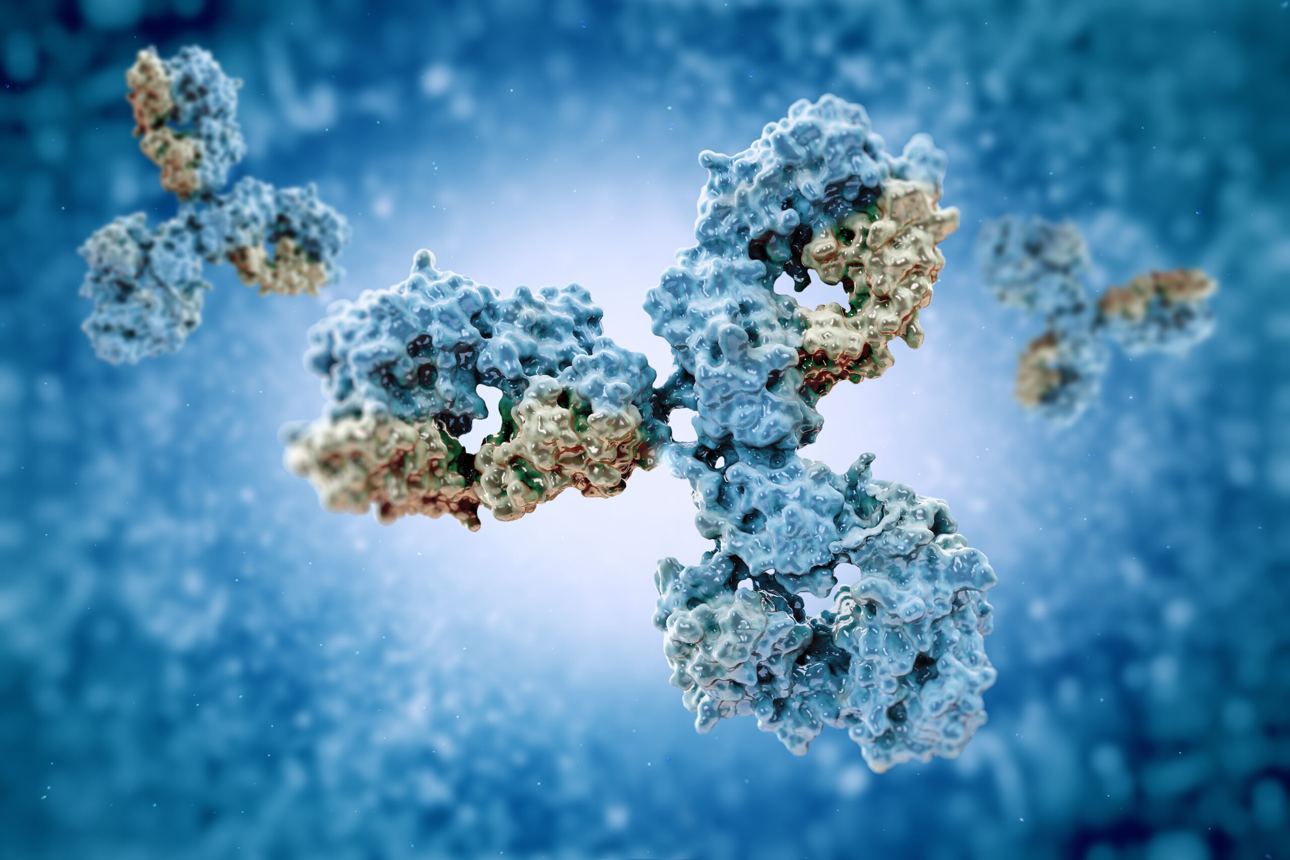 3D illustration of an antibody