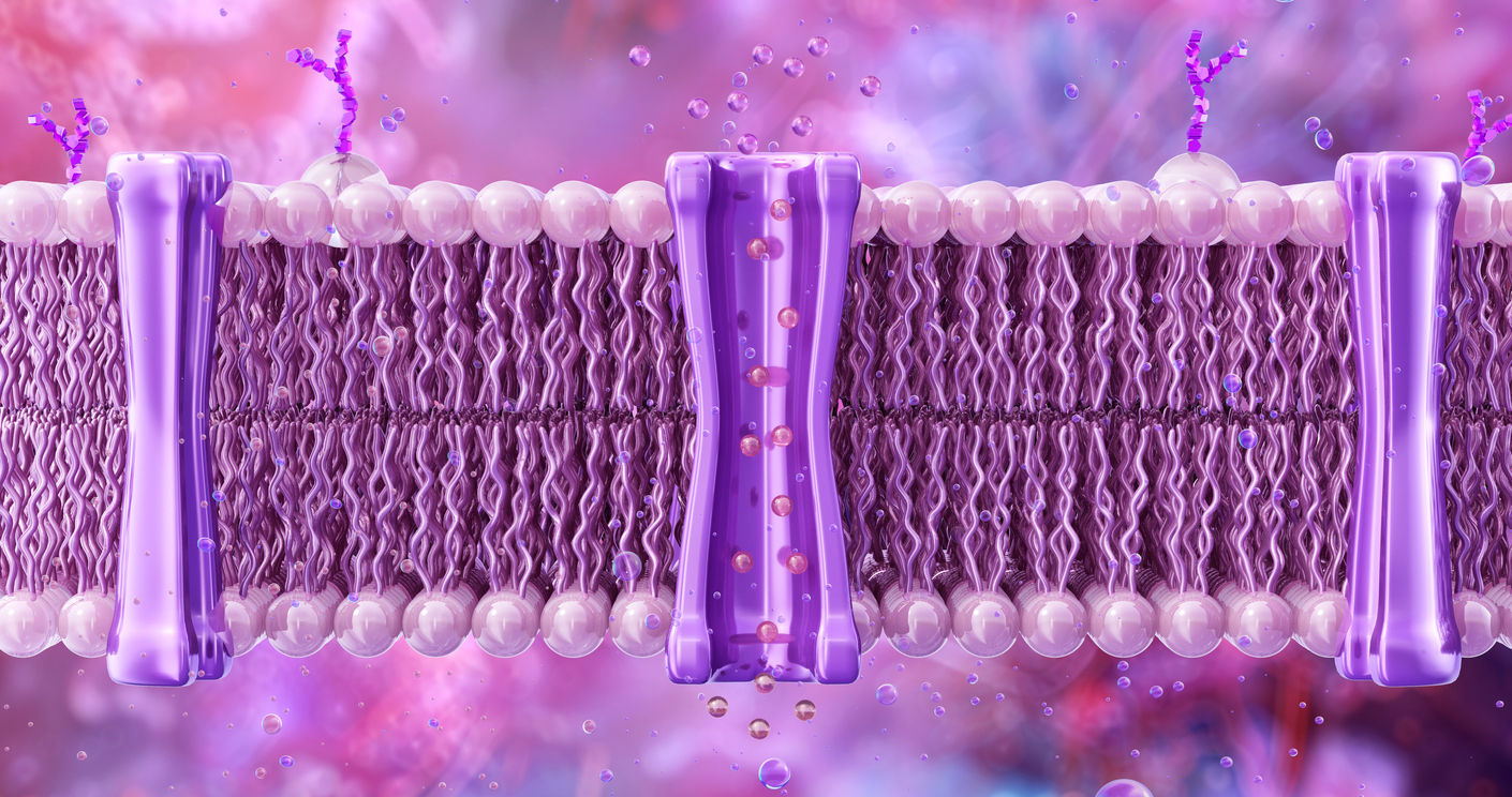 3D illustration of a cell membrane and ion channels