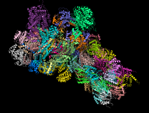 3D rendered proteosome structure