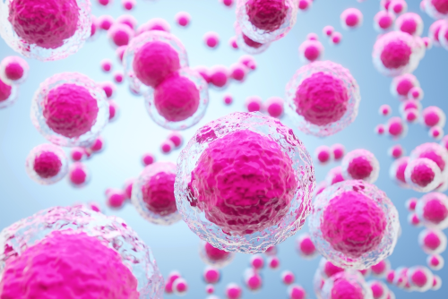 3D illustration of Stem cells