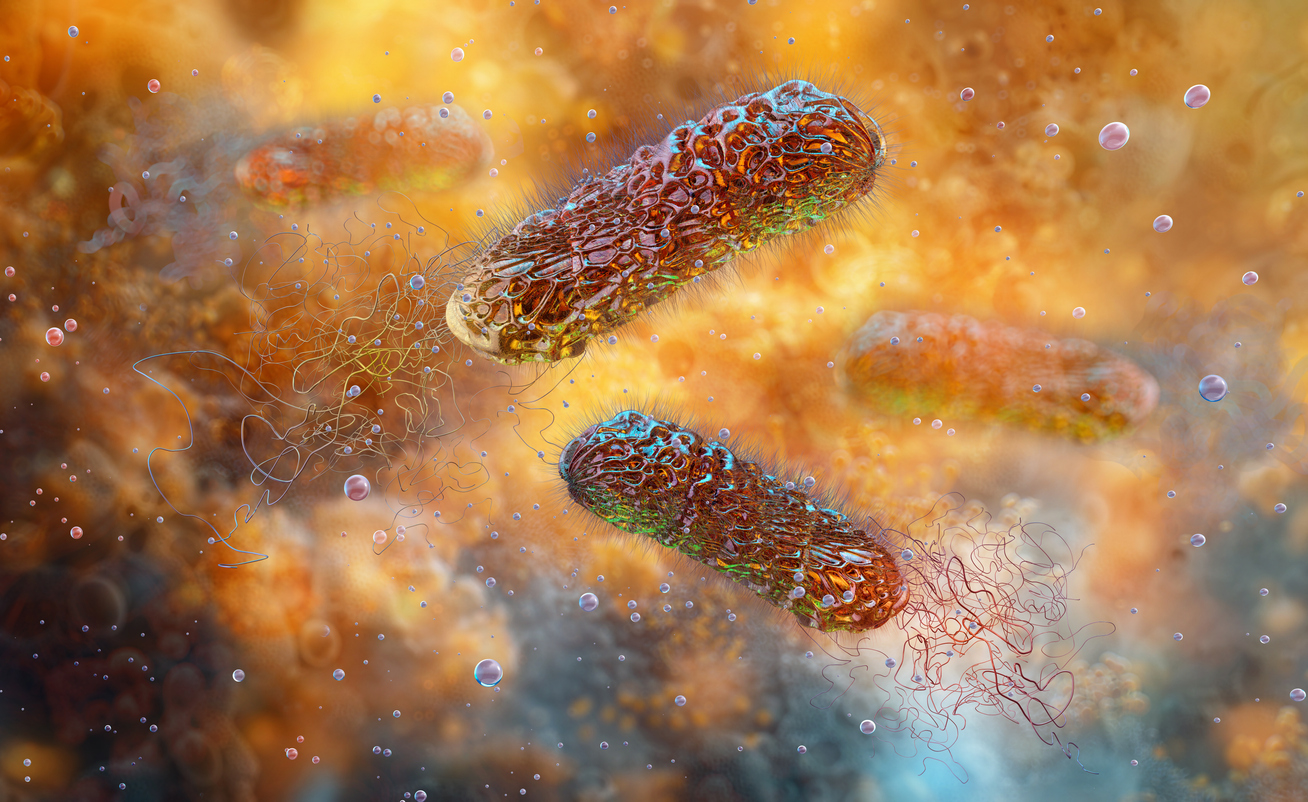 3D illustration of Pseudomonas aeruginosa.