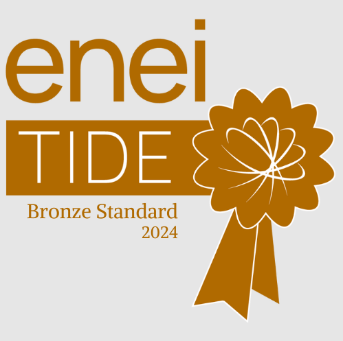 enei bronze standard 2024 TIDE award