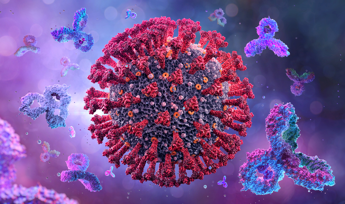 3D model of virus and antibodies interaction. Microscopic view of viral structure with spike proteins and immune system response.