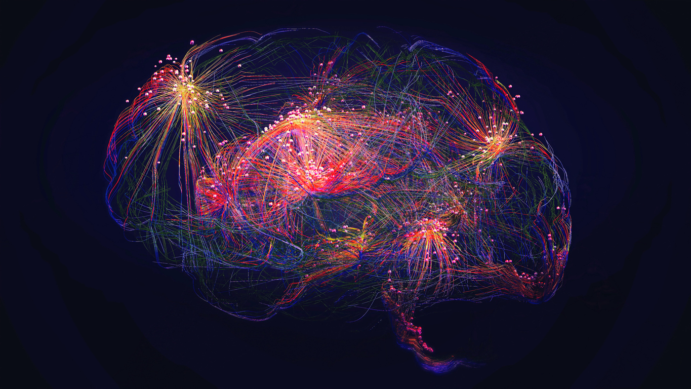 Neural network of the brain