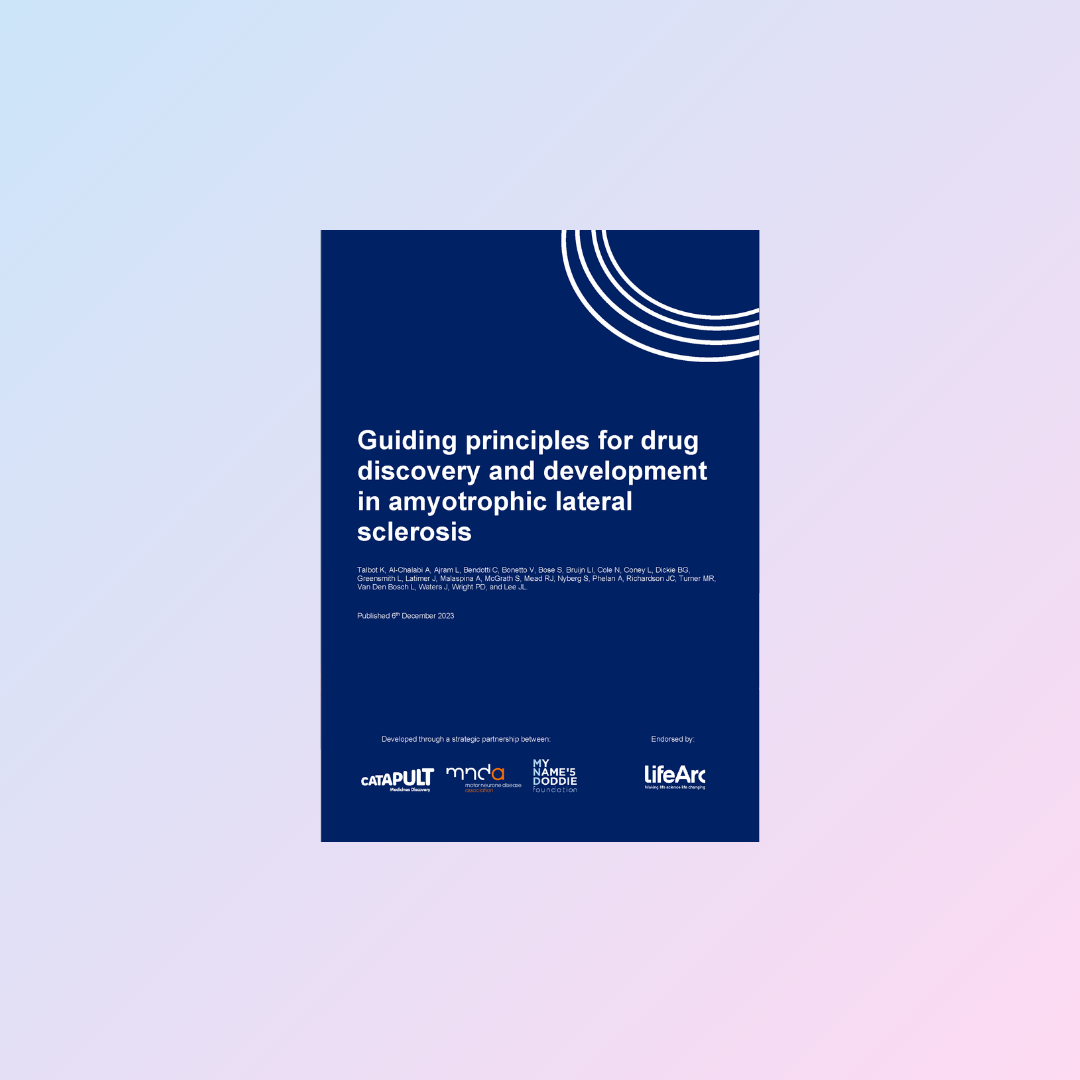 Cover image for Guiding principles for drug discovery report